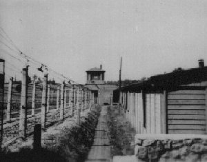 Ze zbiorw Państwowego Muzeum Auschwitz-Birkenau w Oświęcimiu